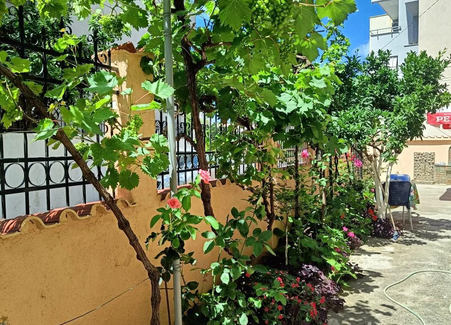 Vila Semako Durres